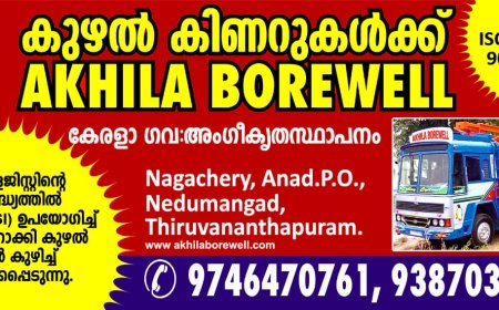 737 ജെറ്റുകളിലെ ഇന്ധന നിയന്ത്രണ സ്വിച്ച് പ്രശ്നത്തെക്കുറിച്ച് ഏഴ് വർഷങ്ങൾക്ക് മുമ്പ് യുഎസ് ഏജൻസി സൂചന നൽകി