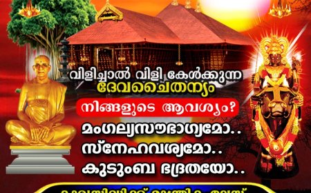 ഓണത്തിനു നാടൻ ബന്ദി പൂവ് ലക്ഷ്യമിട്ടു ഉഴവൂർ ഗ്രാമ പഞ്ചായത്ത്- കൃഷി ഭവന്റെ ആഭിമുഖ്യത്തിൽ ബന്ദി കൃഷിയിറക്കി കുടുംബശ്രീ