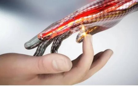 ഇനി അവർക്കും വേദന അറിയാം.... റോബോട്ടിക് ചർമ്മം വികസിപ്പിച്ചെടുത്ത് ഗവേഷകർ