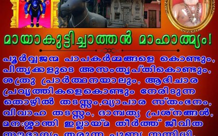 പദ്ധതിക്ക് അംഗീകാരം