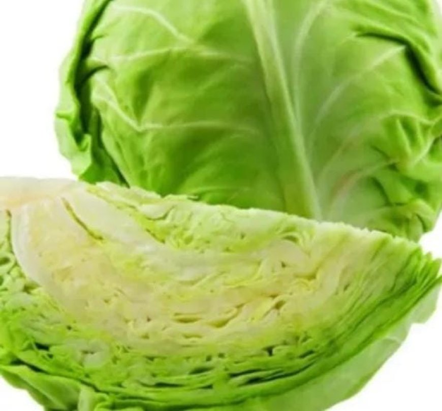 ക്യാൻസർ സാധ്യത കുറയ്ക്കാൻ കാബേജ്