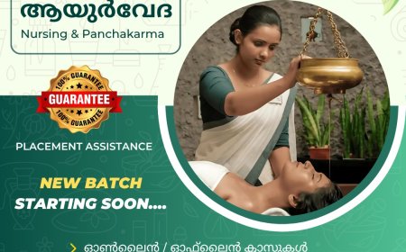 നിപ :മന്ത്രി വീണാ ജോർജിന്റെ  നേതൃത്വത്തിൽ ഉന്നത തലയോഗം ചേർന്നു.