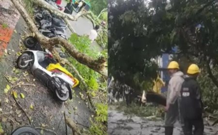 വൈക്കം റെയിൽവേ സ്റ്റേഷൻ റോഡിൽ മരം വീണ് വാഹനങ്ങൾക്ക് കേടുപാട് പറ്റി. കോട്ടയത്ത് ശക്തമായ കാറ്റിൽ വ്യാപക നാശനഷ്ടം