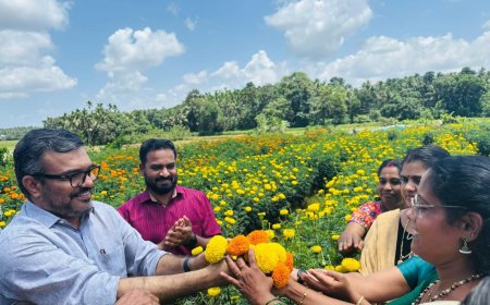 അത്തത്തിനു മുമ്പേ തൃത്താലയിൽ ഓണം തുടങ്ങി.