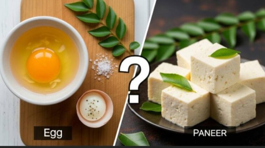 മുട്ടയിലാണോ പനീറിലാണോ ഏറ്റവുമധികം പ്രോട്ടീനുള്ളത്?