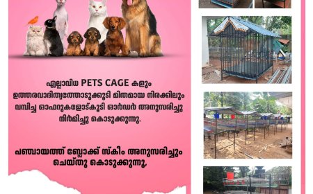 *സായാഹ്ന വാർത്തകൾ*