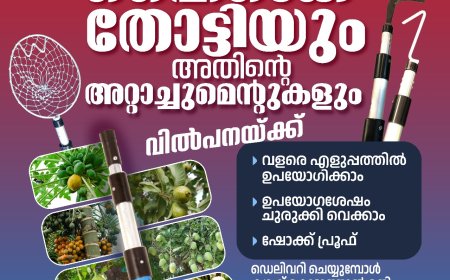 *ന്യൂനമർദ്ദം തീവ്രമാവുന്നു; മഴ കനക്കും*