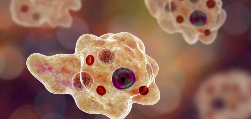 *അമീബിക് മസ്തിഷ്‌ക ജ്വരം; മൂന്ന് മാസം പ്രായമായ കുഞ്ഞ് മരിച്ചു*