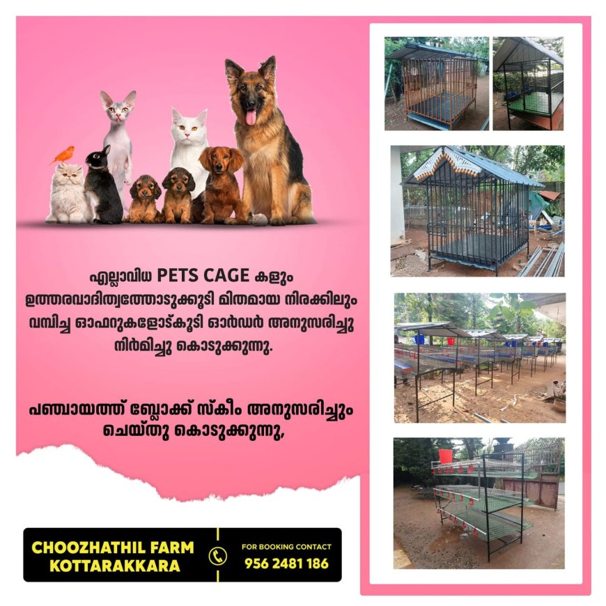 *സായാഹ്ന വാർത്തകൾ*