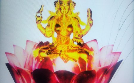 സായാഹ്ന വാർത്തകൾ