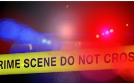 നായ മൂത്രമൊഴിച്ചത് കഴുകി കളയാൻ ആവശ്യപ്പെട്ടു; ആലപ്പുഴയിൽ അമ്മയെ കത്തികൊണ്ട് കുത്തി പരിക്കേൽപ്പിച്ചു.