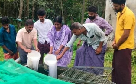 ഗാന്ധിജയന്തി ദിനത്തിൽ ഡിവൈഎഫ്ഐ പൈങ്ങാരപ്പിള്ളി യൂണിറ്റിന്റെ നേതൃത്വത്തിൽ പൊതു കിണർ ശുചീകരിച്ചു