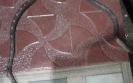 കിളിമാനൂർ നഗരൂരിൽ അർദ്ധരാത്രിയിൽ ഉറങ്ങിക്കിടന്ന വിദ്യാർഥിനിയുടെ ദേഹത്ത് പാമ്പ് ഇഴഞ്ഞു കയറി. കുട്ടി അത്ഭുതകരമായി രക്ഷപ്പെട്ടു.