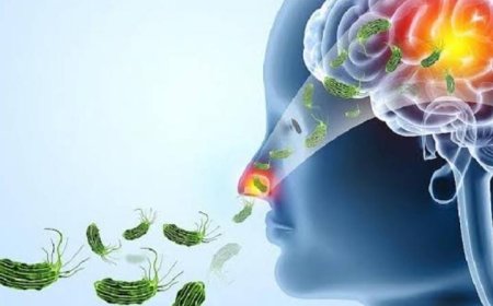 *ആശങ്കയായി അമീബിക് മസ്തിഷ്‌ക ജ്വരം; ഒന്നരമാസത്തിനിടെ 14 മരണം; ഉറവിടം കണ്ടെത്താനാകാതെ വലഞ്ഞ് ആരോഗ്യ വകുപ്പ്*