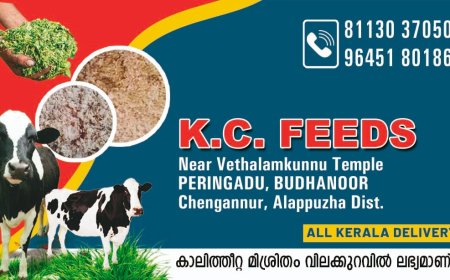 വാർത്തകൾ