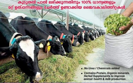 *ആനന്ദ് മാതൃകാ ക്ഷീരസഹകരണ  സംഘങ്ങളുടെ പുതിയ ബൈലോ മന്ത്രി ചിഞ്ചുറാണി പ്രകാശനം ചെയ്യും*