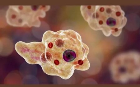 സംസ്ഥാനത്ത് അമീബിക് മസ്തിഷ്കജ്വരം ബാധിച്ച് ഒരു സ്ത്രീ മരിച്ചു