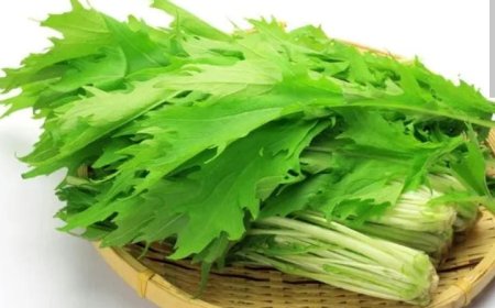  അസ്ഥികൾക്ക് ബലം നൽകാൻ കടുക് ഇല