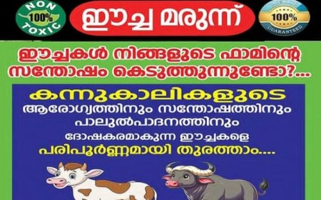 കേരള പിറവി ദിനാഘോഷം