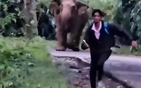 അതിരപ്പിള്ളിയിൽ ബൈക്ക് യാത്രികർക്കു നേരെ പാഞ്ഞടുത്ത് കാട്ടാന