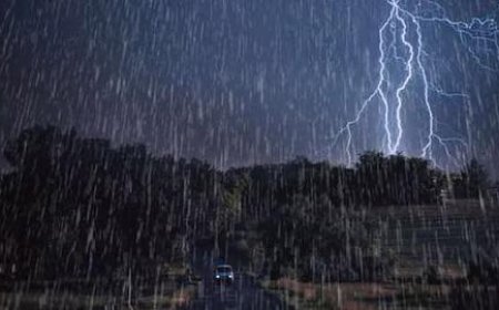 മോൻത ചുഴലിക്കാറ്റ് കര തൊട്ടു; അടുത്ത 3 മണിക്കൂറിനുള്ളിൽ പൂർണമായും കാറ്റ് കരയിൽ കയറും. ഇതേ തുടർന്ന് രാത്രി യാത്ര നിരോധിച്ച് ആന്ധ്രപ്രദേശ് സർക്കാർ. ഈസ്റ്റ് ഗോദാവരി, അല്ലൂരി സീതാരാമരാജു, ഏലൂരൂ, ഡോ. ബി ആർ അംബേദ്കർ കൊനസീമ, കൃഷ്ണ, വെസ്റ്റ് ഗോദാവരി, കാക്കിനാട ജില്ലകളിൽ ആണ് നിരോധനം