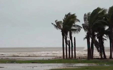 *മൻത ചുഴലിക്കാറ്റ് കര തൊട്ടു*