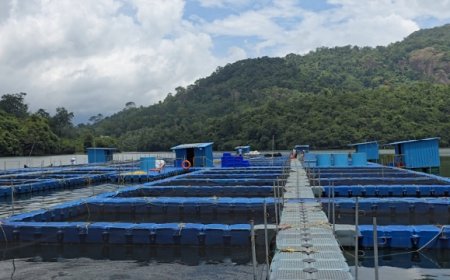 കടൽ കടന്ന് നെയ്യാറിലെ കരിമീനും വരാലും;* ആഗോളശ്രദ്ധ നേടി ഡാമിലെ കൂട്**മത്സ്യകൃഷി*