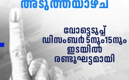 തദ്ദേശ തിരഞ്ഞെടുപ്പ് പ്രഖ്യാപനം അടുത്ത ആഴ്ച; വോട്ടെടുപ്പ് ഡിസംബർ 5നും15നും ഇടയിൽ രണ്ടുഘട്ടമായി #localbodyelection #keralaelection