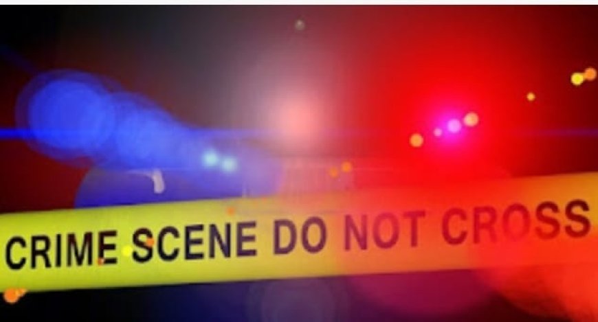 നായ മൂത്രമൊഴിച്ചത് കഴുകി കളയാൻ ആവശ്യപ്പെട്ടു; ആലപ്പുഴയിൽ അമ്മയെ കത്തികൊണ്ട് കുത്തി പരിക്കേൽപ്പിച്ചു.