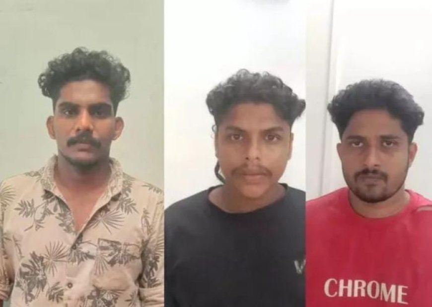 വാഹനം പിടികൂടാൻ ശ്രമിക്കുന്നതിനിടെ എസ്ഐയെ വാഹനം ഇടിപ്പിക്കാൻ ശ്രമം. സംഭവത്തിൽ മൂന്നുപേർ പൊലീസിന്റെ കസ്റ്റഡിയിൽ