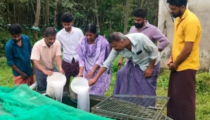 ഗാന്ധിജയന്തി ദിനത്തിൽ ഡിവൈഎഫ്ഐ പൈങ്ങാരപ്പിള്ളി യൂണിറ്റിന്റെ നേതൃത്വത്തിൽ പൊതു കിണർ ശുചീകരിച്ചു