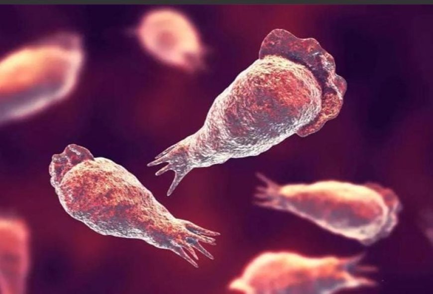 *തിരുവനന്തപുരത്ത് അമീബിക് മസ്തിഷ്ക ജ്വരം ബാധിച്ച വയോധിക മരിച്ചു*