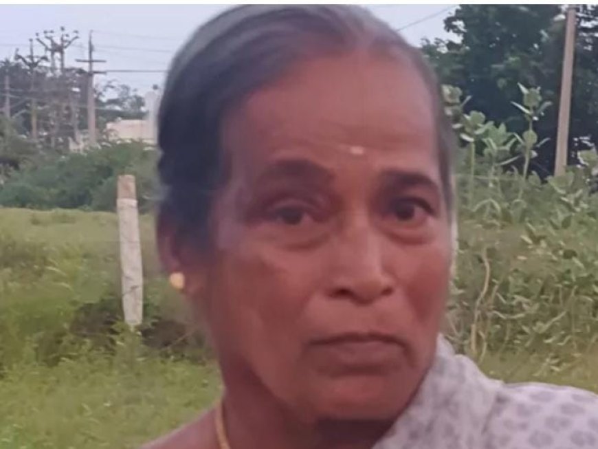 പാലക്കാട്    വടക്കഞ്ചേരിയിൽവയോധികയെ കുളത്തിൽ മരിച്ച നിലയിൽ കണ്ടെത്തി.