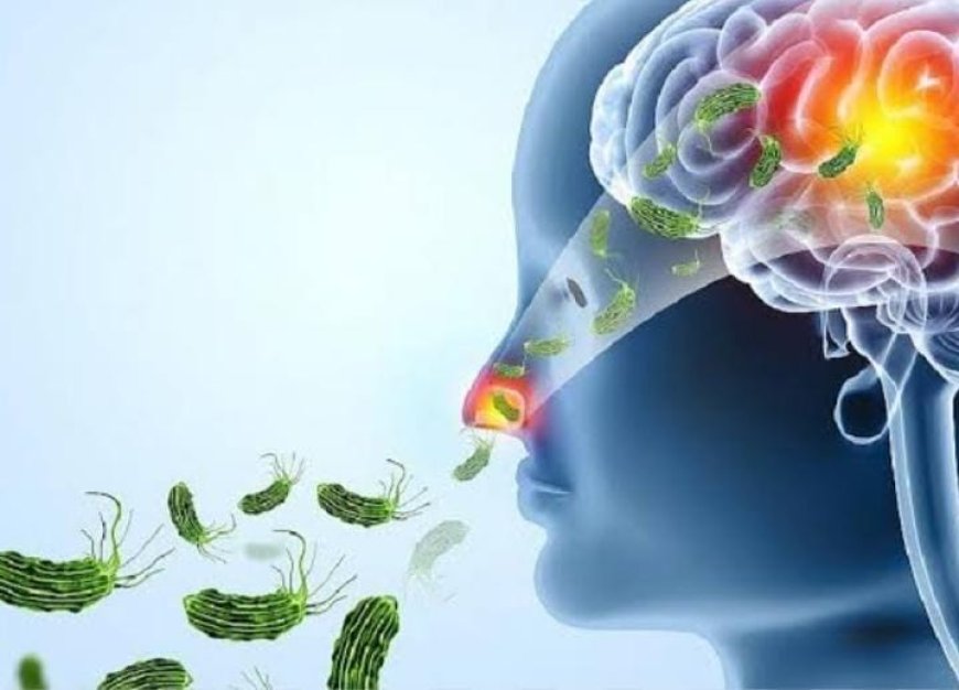 *ആശങ്കയായി അമീബിക് മസ്തിഷ്‌ക ജ്വരം; ഒന്നരമാസത്തിനിടെ 14 മരണം; ഉറവിടം കണ്ടെത്താനാകാതെ വലഞ്ഞ് ആരോഗ്യ വകുപ്പ്*