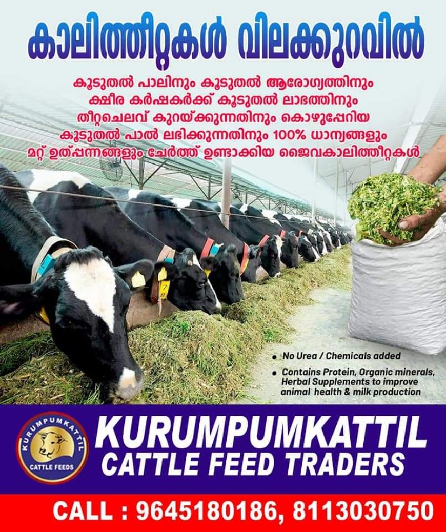 *ആനന്ദ് മാതൃകാ ക്ഷീരസഹകരണ  സംഘങ്ങളുടെ പുതിയ ബൈലോ മന്ത്രി ചിഞ്ചുറാണി പ്രകാശനം ചെയ്യും*