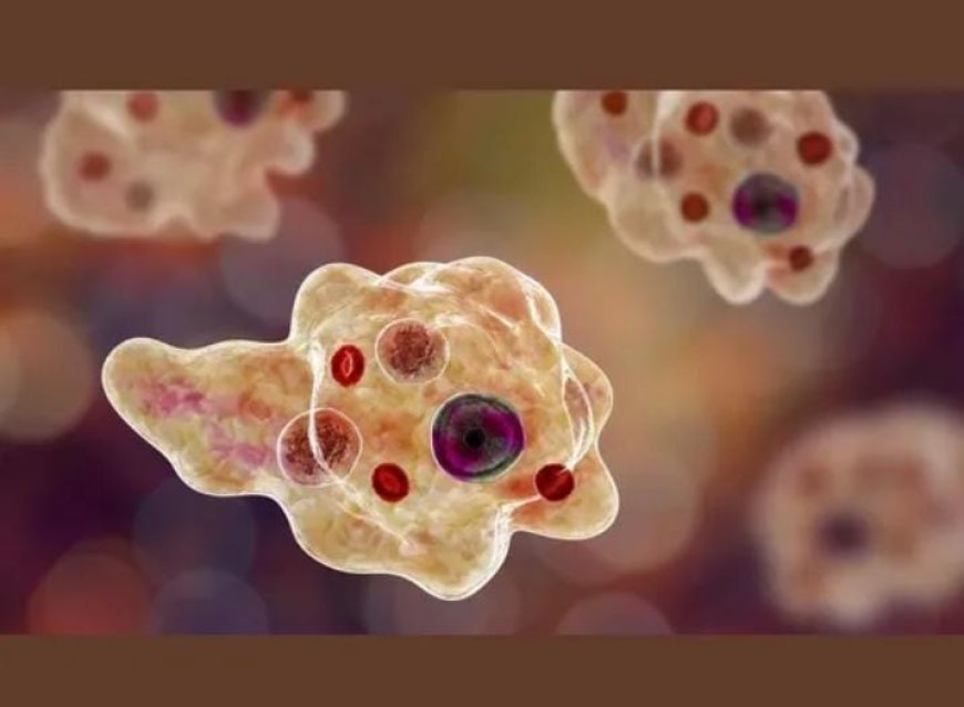 സംസ്ഥാനത്ത് അമീബിക് മസ്തിഷ്കജ്വരം ബാധിച്ച് ഒരു സ്ത്രീ മരിച്ചു