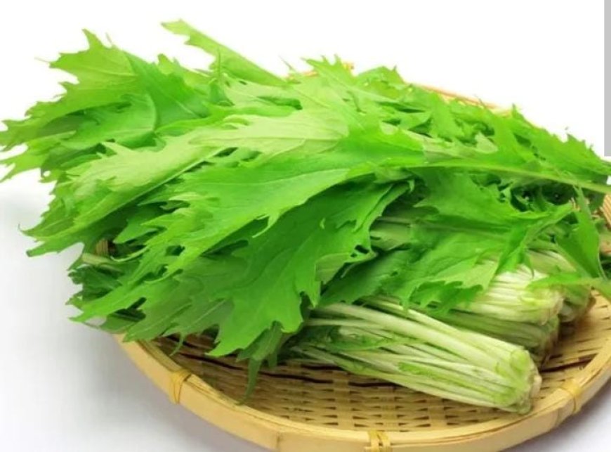  അസ്ഥികൾക്ക് ബലം നൽകാൻ കടുക് ഇല