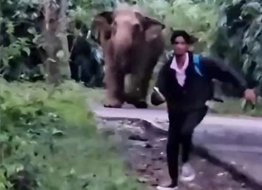 അതിരപ്പിള്ളിയിൽ ബൈക്ക് യാത്രികർക്കു നേരെ പാഞ്ഞടുത്ത് കാട്ടാന