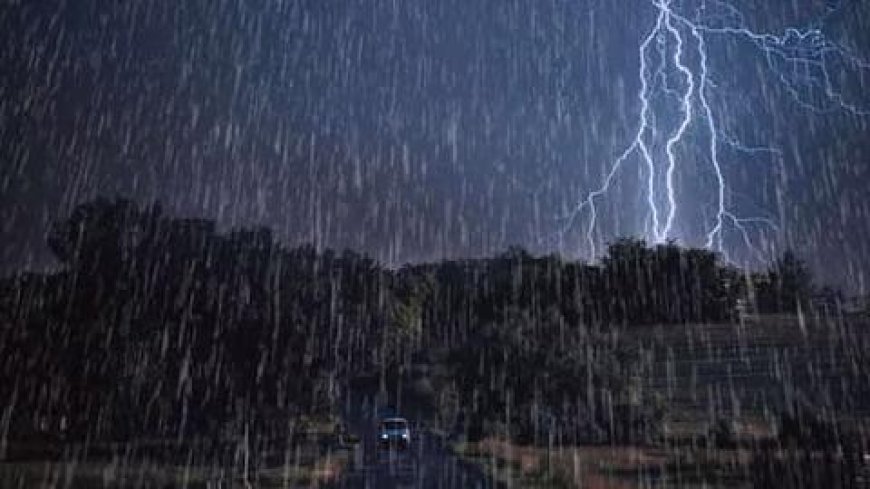 മോൻത ചുഴലിക്കാറ്റ് കര തൊട്ടു; അടുത്ത 3 മണിക്കൂറിനുള്ളിൽ പൂർണമായും കാറ്റ് കരയിൽ കയറും. ഇതേ തുടർന്ന് രാത്രി യാത്ര നിരോധിച്ച് ആന്ധ്രപ്രദേശ് സർക്കാർ. ഈസ്റ്റ് ഗോദാവരി, അല്ലൂരി സീതാരാമരാജു, ഏലൂരൂ, ഡോ. ബി ആർ അംബേദ്കർ കൊനസീമ, കൃഷ്ണ, വെസ്റ്റ് ഗോദാവരി, കാക്കിനാട ജില്ലകളിൽ ആണ് നിരോധനം