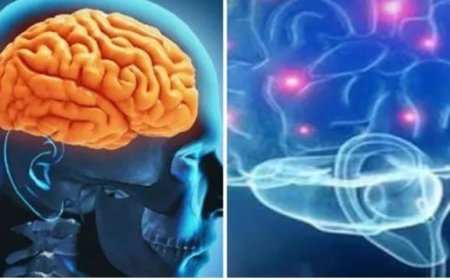 സംസ്ഥാനത്ത് വീണ്ടും അമീബിക് മസ്തിഷ്ക ജ്വര മരണം: മരിച്ചത് ആറ്റിങ്ങൽ സ്വദേശി