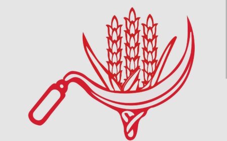 വർക്കല ഇലകമണിൽ  ശക്തമായ പോരാട്ടത്തിന്  സിപിഐ രംഗത്ത്