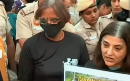 നോ ഡോഗ്, നോ വോട്ട് ; തെരുവുനായകളെ പിടികൂടണമെന്ന സുപ്രിംകോടതി വിധിക്കെതിരെയാണ് പ്രതിഷേധം. ഇന്ത്യാഗേറ്റിനു മുന്നിൽ മൃഗസ്നേഹികളുടെ പ്രതിഷേധം