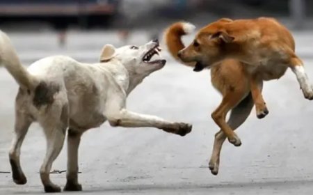 ആരോഗ്യ വകുപ്പ് അറിയിപ്പ്