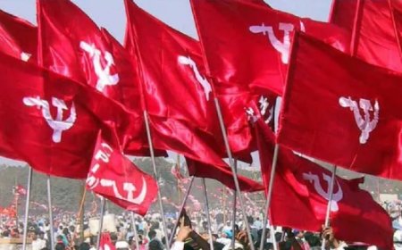 കണ്ണൂർ ജില്ലാ പഞ്ചായത്ത് തെരഞ്ഞെടുപ്പ്: പി.പി  ദിവ്യയെ വെട്ടി  സിപിഎം.എസ്എഫ്ഐ  മുൻ സംസ്ഥാന പ്രസിഡന്റ് അനുശ്രീ ജില്ലാ പഞ്ചായത്തിലേക്ക് മത്സരിക്കും