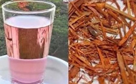 ത്വക്ക് രോഗങ്ങൾക്ക് കരിങ്ങാലി