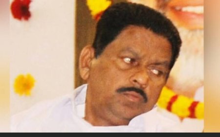 ഞാൻ രാജിവെച്ചിട്ടില്ല’ :നേതൃത്വത്തെ കണ്ടപ്പോൾ രാജിയിൽ നിന്ന് മലക്കം മറിഞ്ഞ് എൻ ശക്തൻ