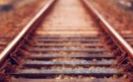 ആലപ്പുഴ റെയിൽവേ സ്റ്റേഷന്റെ ട്രാക്കിൽ മനുഷ്യന്റെ കാൽപ്പാദം കണ്ടെത്തി. ശരീര ഭാ ഗത്തിന് മൂന്ന് ദിവസത്തെ പഴക്കം. കാലിന്റെ ഭാഗം കണ്ടെത്തിയത് ശുചീകരണ തൊഴിലാളികൾ