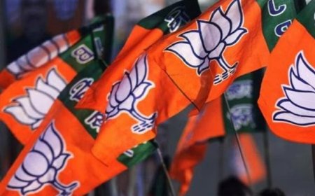 ദേവസ്വം മന്ത്രി എവിടെ ?  ശബരിമലയിൽ നടക്കുന്നത് കടുത്ത മനുഷ്യാവകാശ ലംഘനം: ബിജെപി