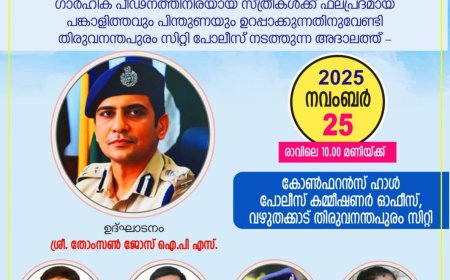 ഗാർഹിക പീഡന അദാലത്