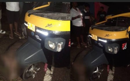 കല്ലറയിൽ കാട്ടുപന്നി കുറുകെ ചാടി; ഓട്ടോറിക്ഷ മറിഞ്ഞ് പരിക്കേറ്റു ചികിത്സയിലായിരുന്ന ഡ്രൈവർ മരിച്ചു.